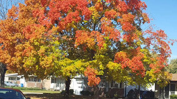Florissant