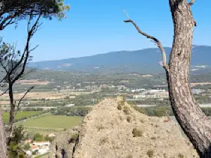 Camping Municipal La Pinède
