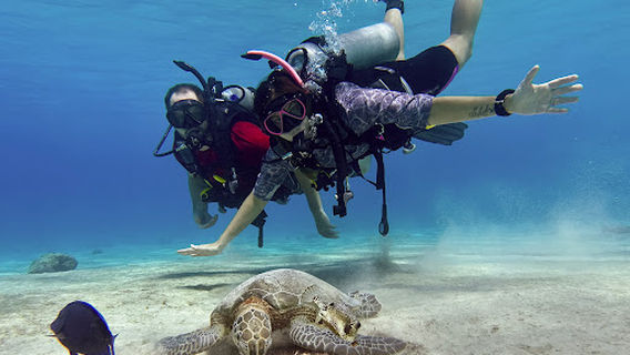 Scuba Elite - PADI 5 Star IDC Resort on Bonaire