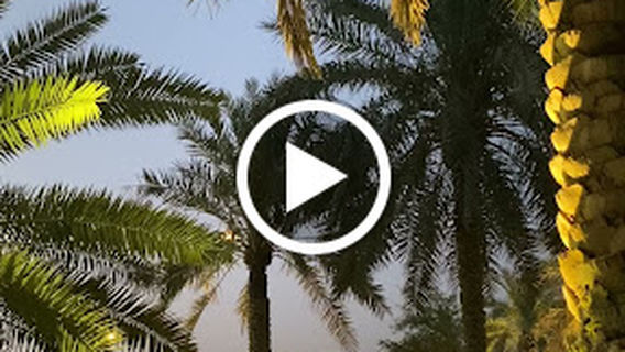 Jawzat Ad Diriyah Park