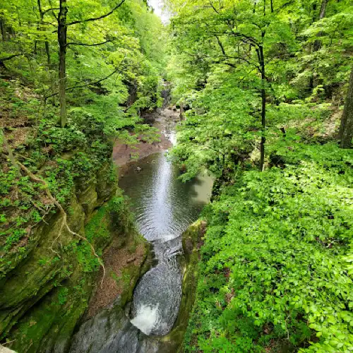 Matthiessen State Park Fort