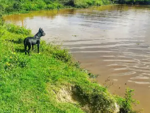 Parque de Vaquejada José Ursulino