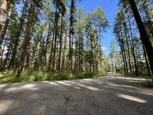 Chehalis River Campground