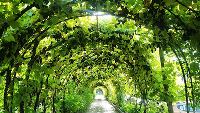 Casa Da Azenha - Quinta da Ribeira