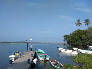 Playa Barra De Cazones