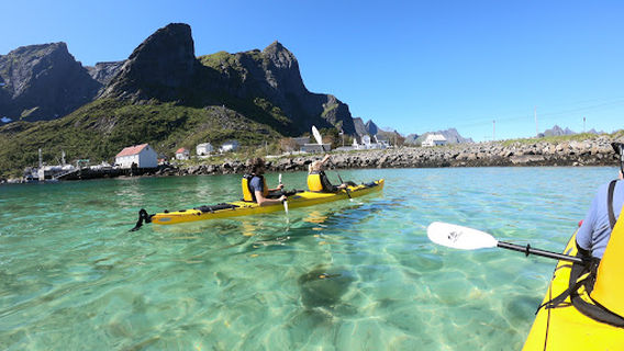 Reine
