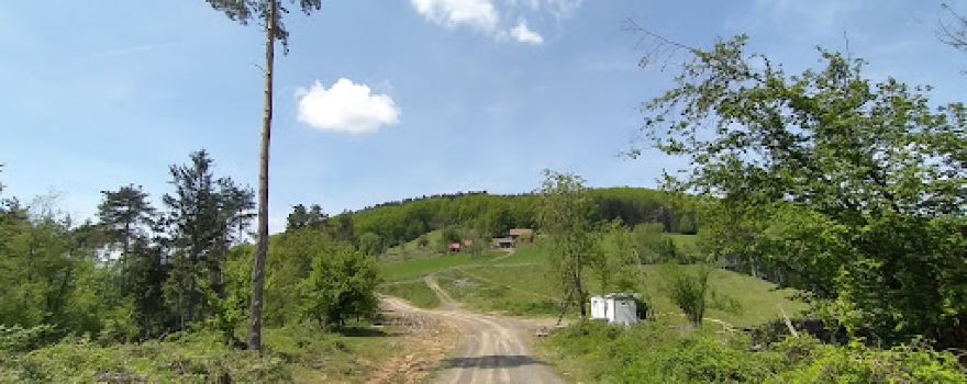 Rankova kucica