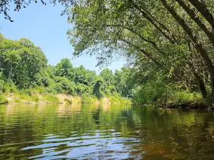 Santee River