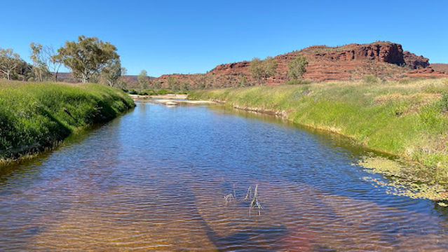 Palm Valley Campground