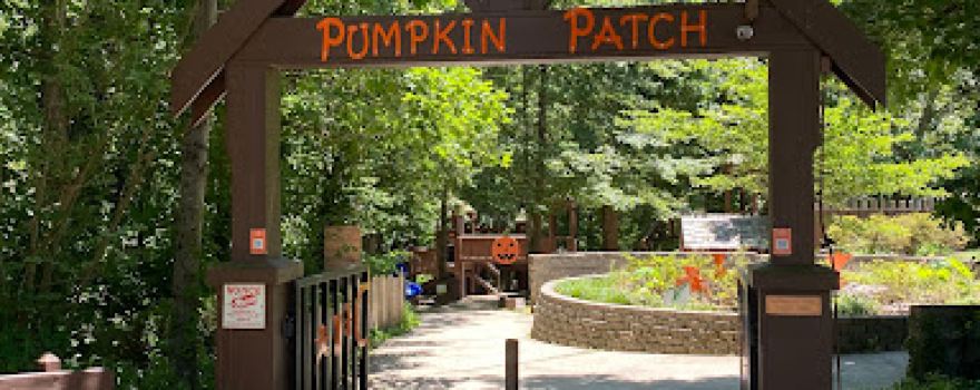 The Pumpkin Patch Playground
