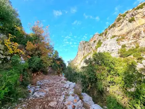 Kfarhelda waterfall