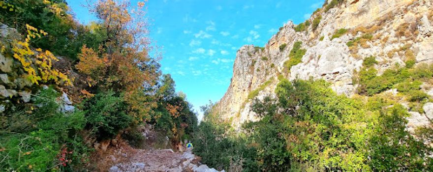 Kfarhelda waterfall
