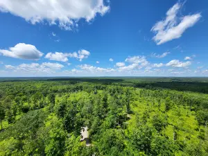 Chequamegon-Nicolet National Forest