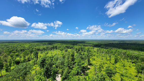 Chequamegon-Nicolet National Forest
