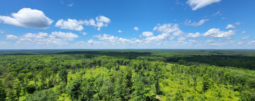 Chequamegon-Nicolet National Forest