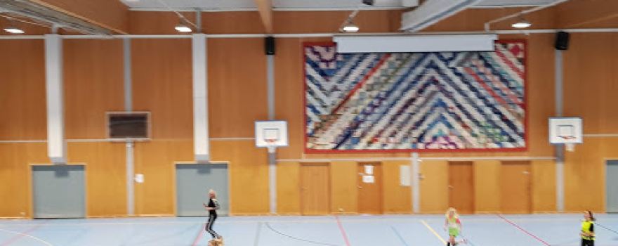 South Odal Sports