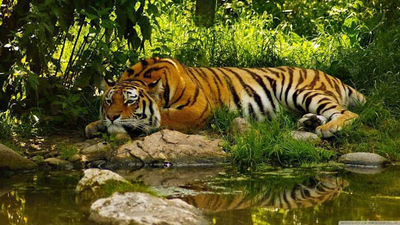 Atlanta Conservation Area