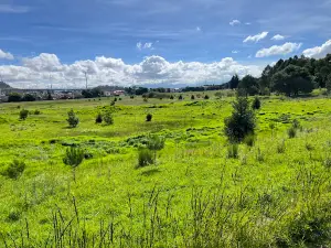 Parque Alameda 2000