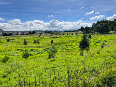 Parque Alameda 2000