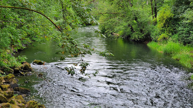 Rotary Riverside Park