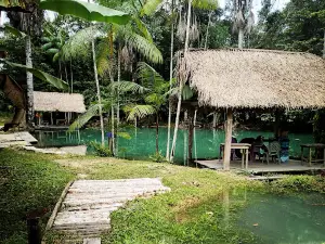 Lagoa Azul - São Domingos do Capim Pará