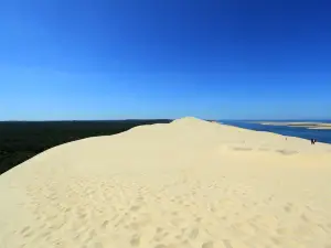 Dune of Pilat
