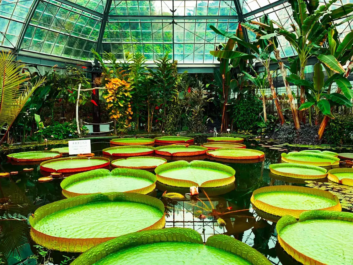 Hotels near ATAGAWA TROPICAL & ALLIGATOR GARDEN