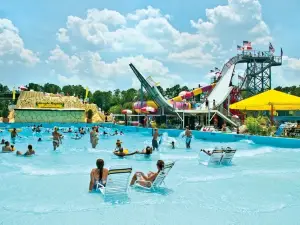 Jungle Rapids Family Fun Park