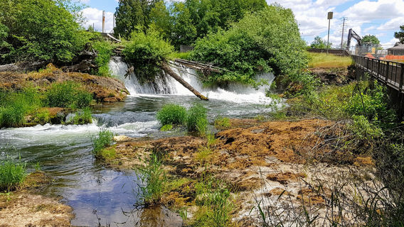 Brewery Park at Tumwater Falls