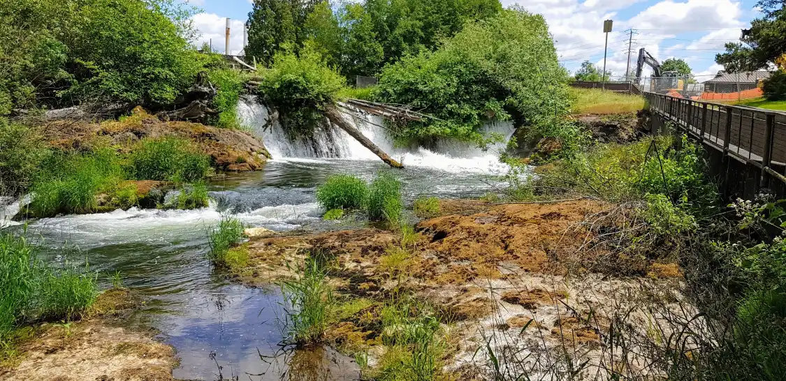 Hotels in der Nähe von Tumwater Falls Park