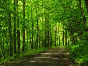 Blackhand Gorge State Nature Preserve