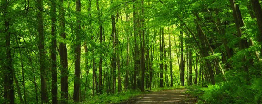 Blackhand Gorge State Nature Preserve