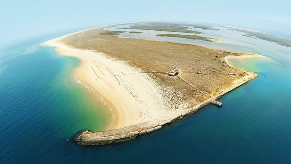 Faro