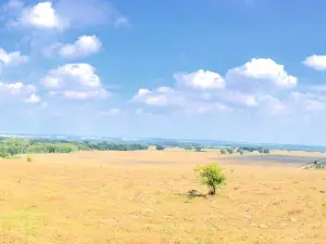 Skrylle naturreservat