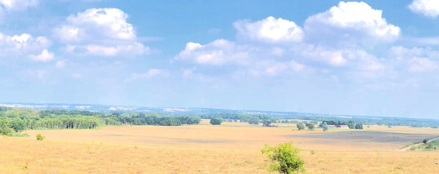 Skrylle naturreservat