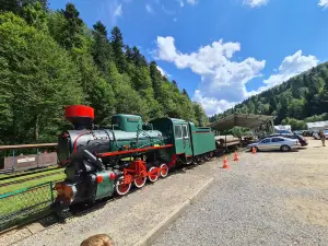 Bieszczady Forest Railway
