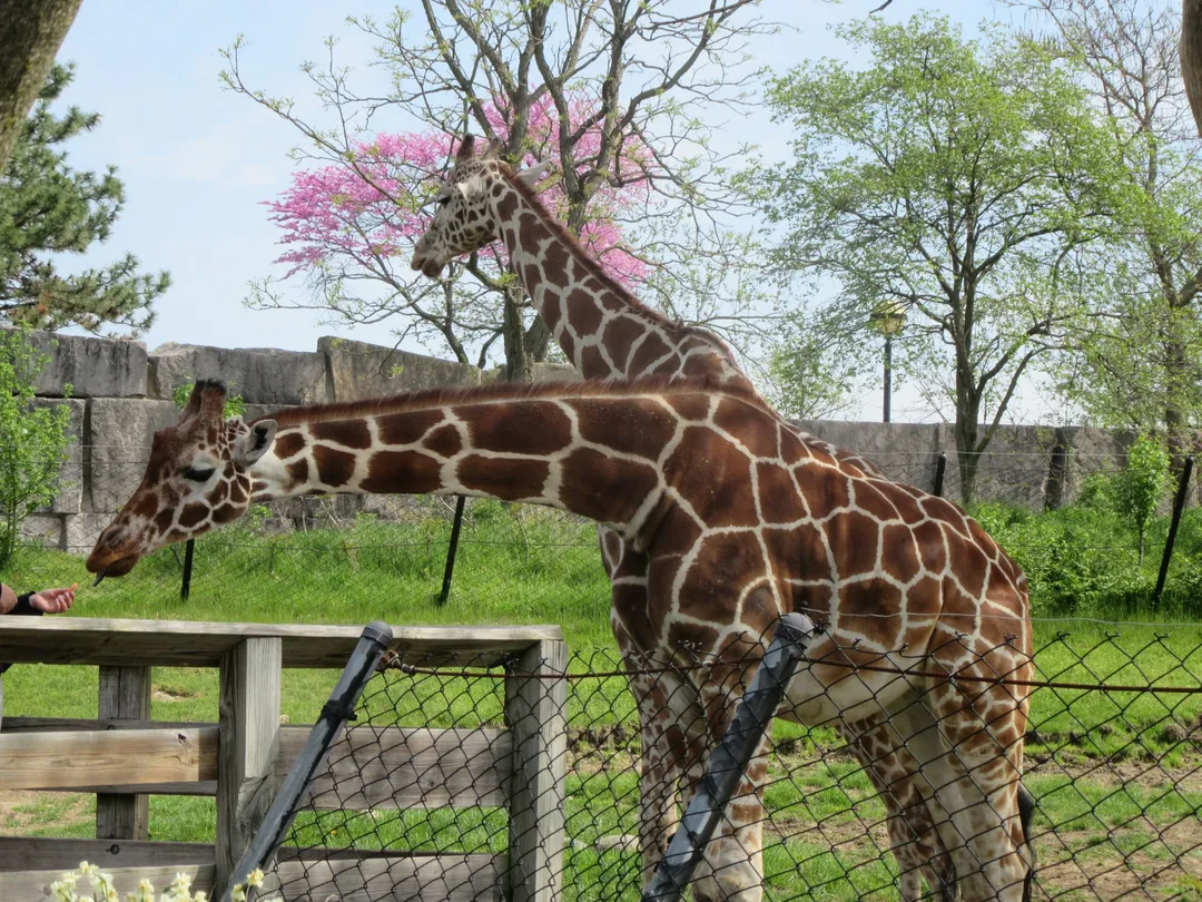 5_Indianapolis Zoo