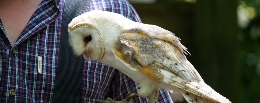 Rutland Wildlife Sanctuary