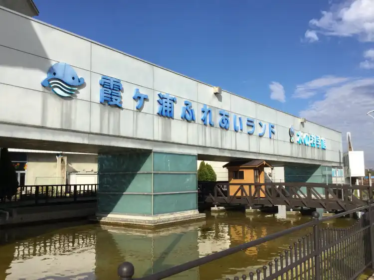 Tegachuojido Park 주변 호텔