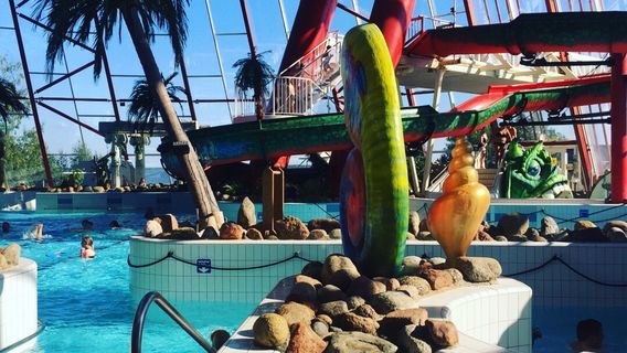 Tropiclandia