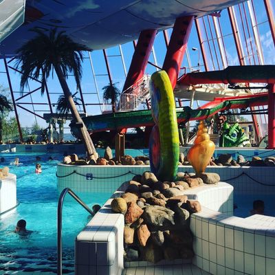 Tropiclandia