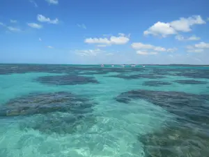 Piscinas Naturais De Maragogi Galés