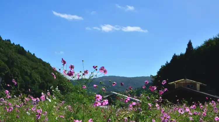 Hotels in Toyono