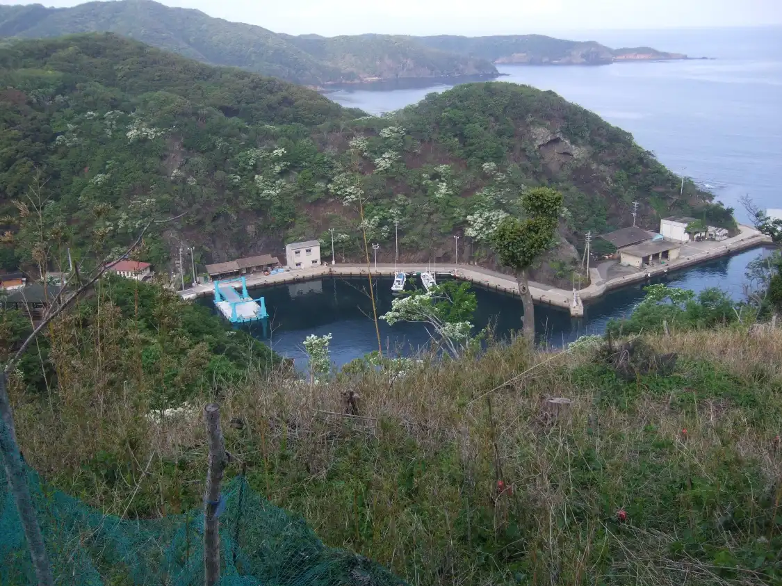 Hotels near Uniura Chionanthus Retusus Habitat