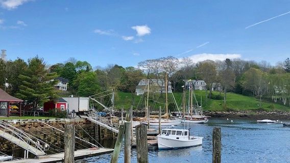 Andre The Seal Statue