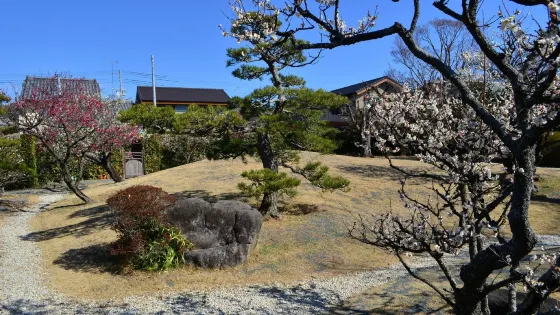 清水邸庭園