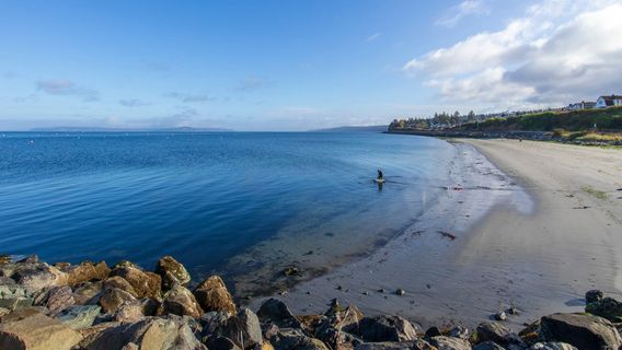 Edmonds Underwater Park