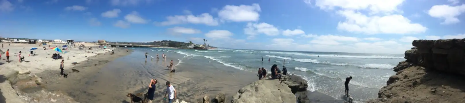 Hotels near Dog Beach