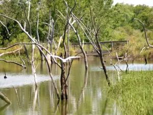 Baytown Nature Center