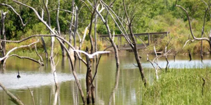 Baytown Nature Center